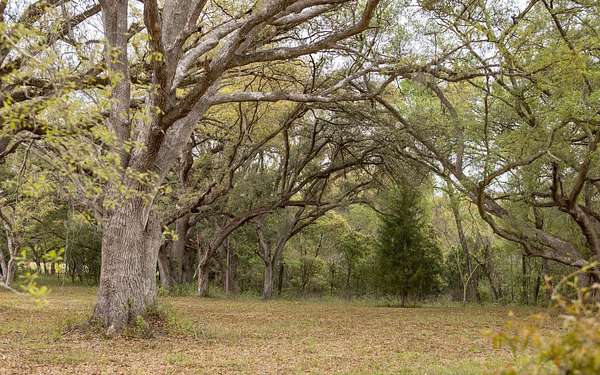 4 Acres of Residential Land for Sale in McAlpin, Florida
