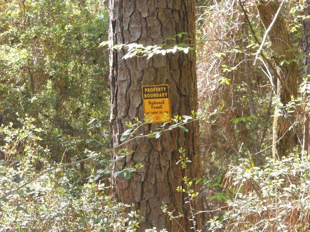 15.7 Acres of Recreational Land with Home for Sale in San Augustine, Texas