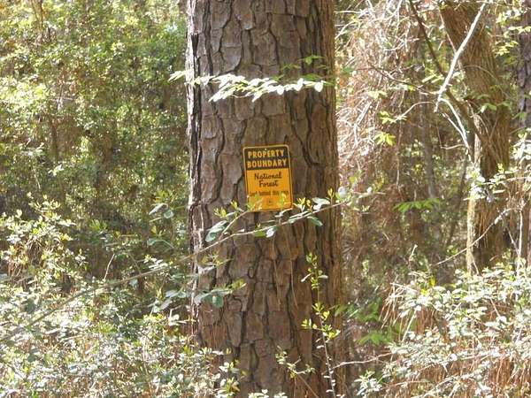 15.7 Acres of Recreational Land with Home for Sale in San Augustine, Texas