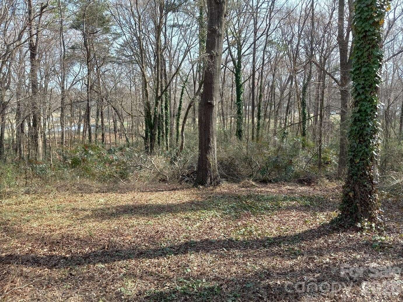 1 Acre of Residential Land for Sale in Monroe, North Carolina