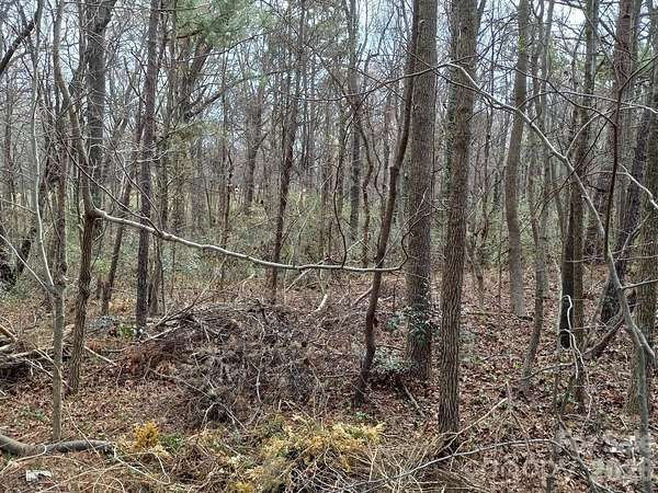 1 Acre of Residential Land for Sale in Monroe, North Carolina