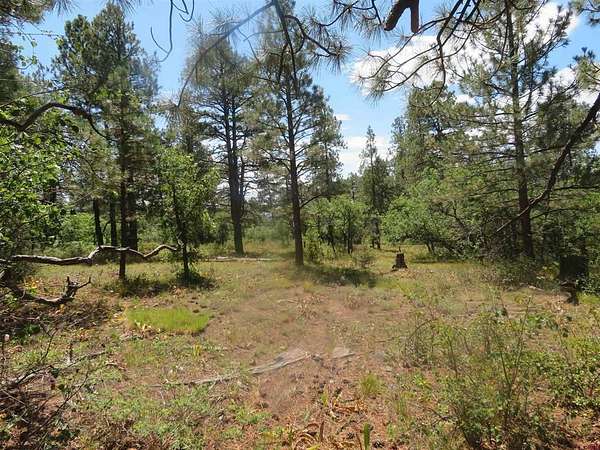 35.2 Acres of Recreational & Residential Land for Sale in Pagosa Springs, Colorado