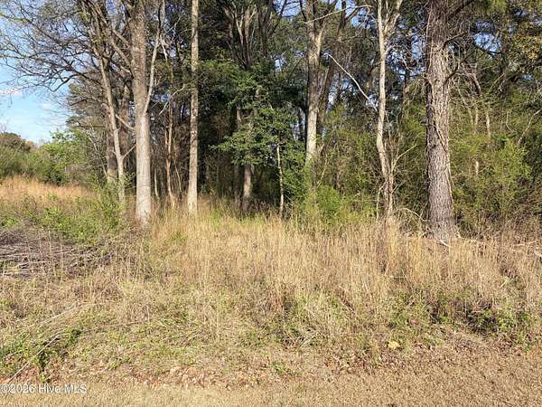 0.47 Acres of Residential Land for Sale in Roanoke Rapids, North Carolina