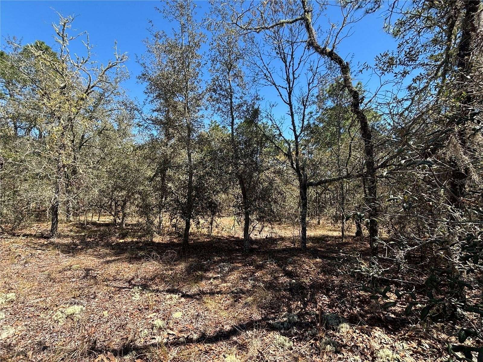 1 Acre of Residential Land for Sale in Dunnellon, Florida