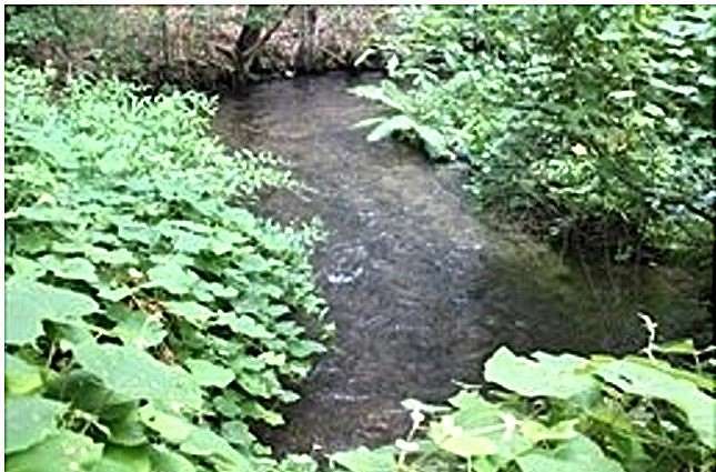 1.84 Acres of Land for Sale in Plymouth, Massachusetts