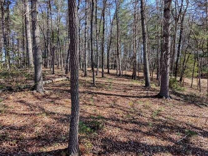 1 Acre of Residential Land for Sale in Blairsville, Georgia