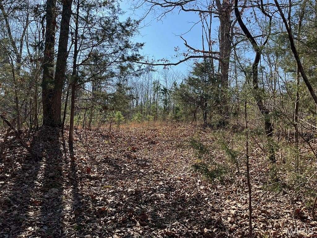 38 Acres of Recreational Land for Sale in Silva, Missouri