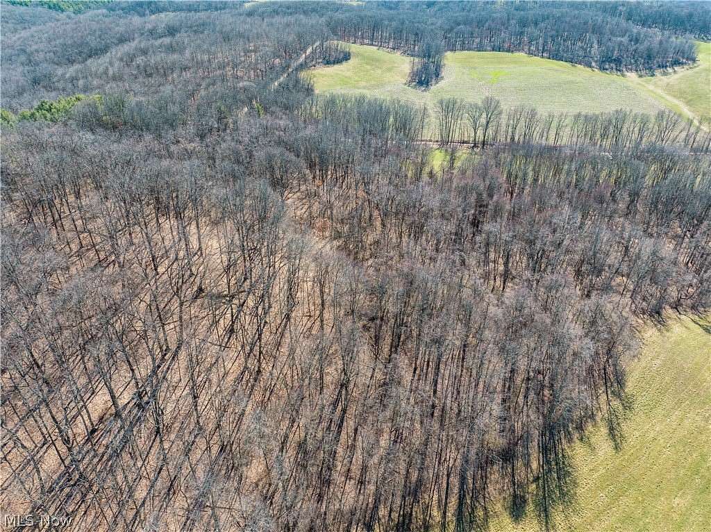 15.8 Acres of Land for Auction in Jewett, Ohio