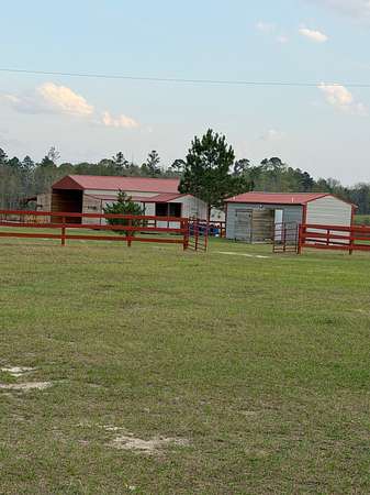 40 Acres of Land with Home for Sale in McRae, Georgia