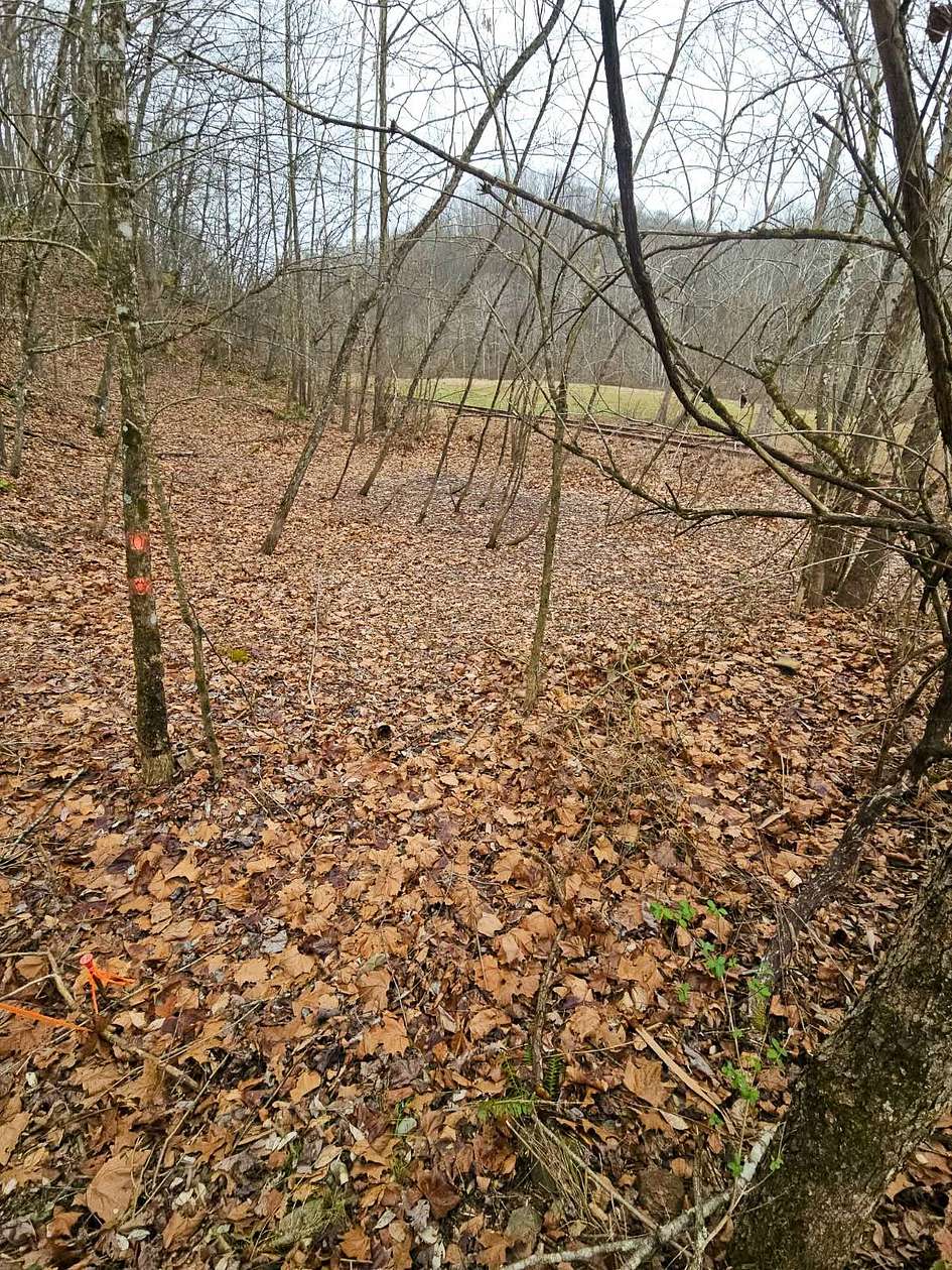 0.96 Acres of Residential Land for Sale in Copen, West Virginia