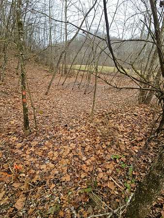 0.96 Acres of Residential Land for Sale in Copen, West Virginia