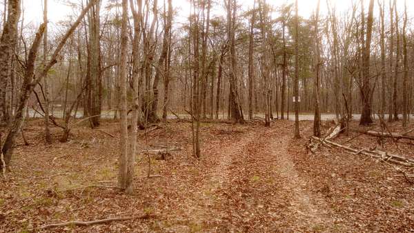 7 Acres of Residential Land for Sale in Monteagle, Tennessee