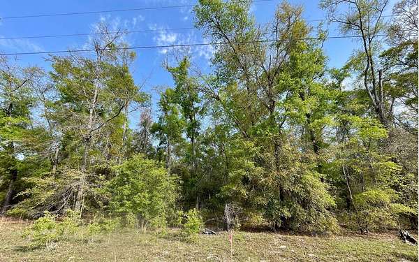 2.3 Acres of Residential Land for Sale in O'Brien, Florida