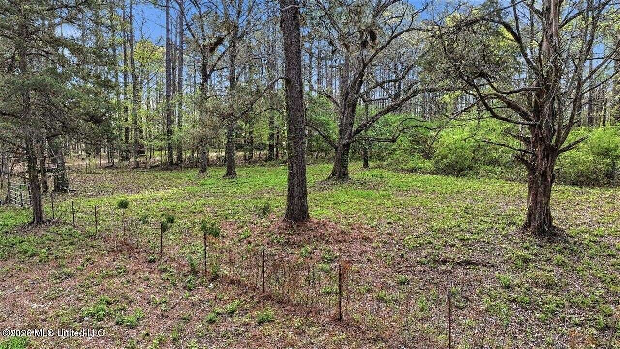 13.3 Acres of Land for Sale in Braxton, Mississippi