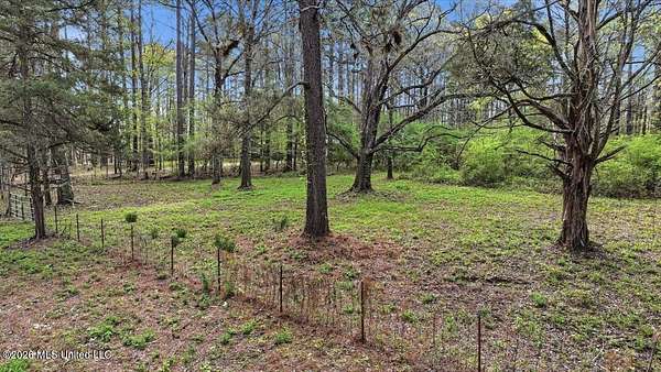 13.3 Acres of Land for Sale in Braxton, Mississippi