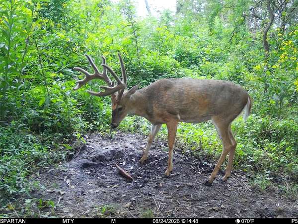 240 Acres of Recreational Land for Sale in Osceola, Iowa