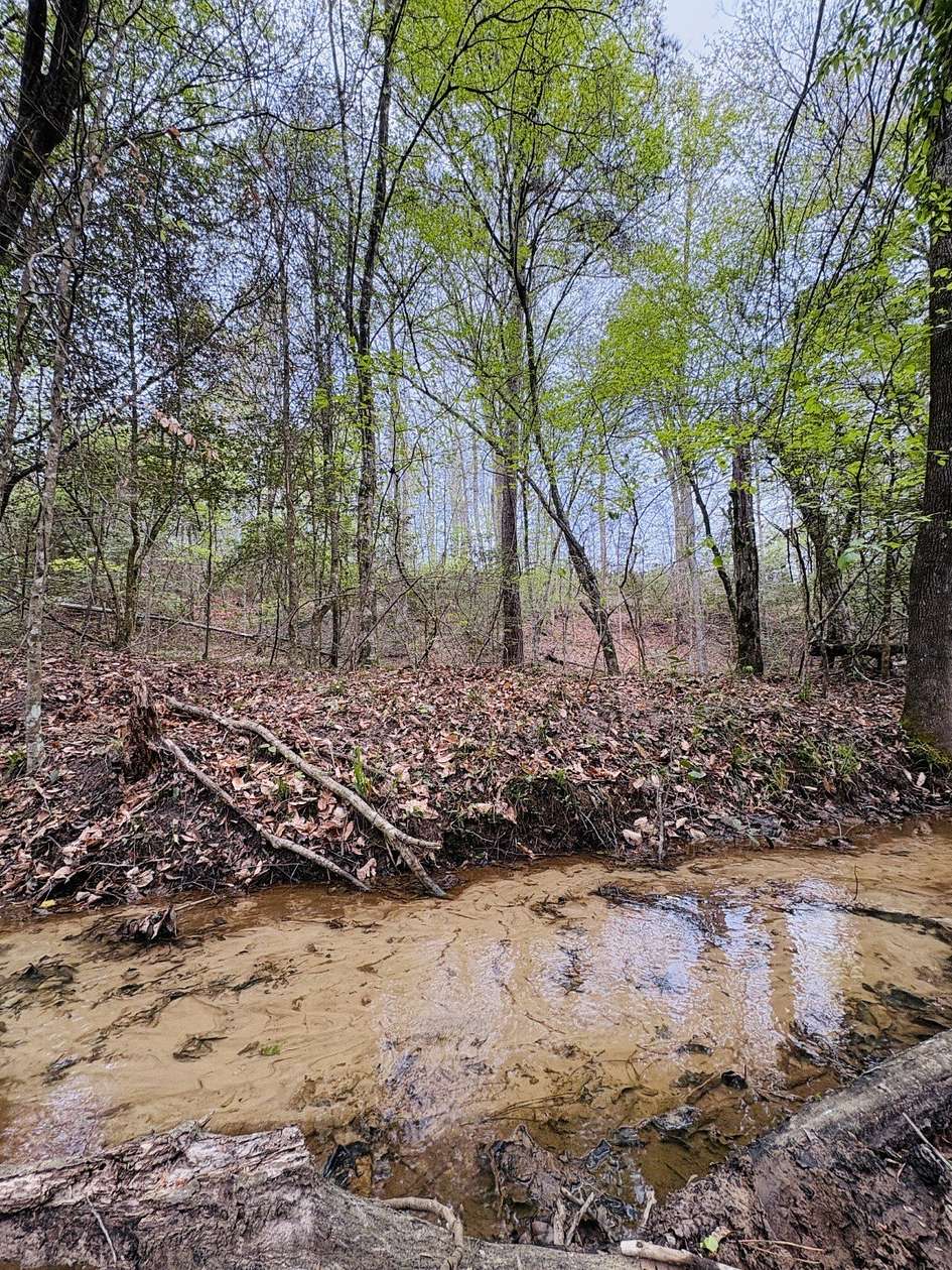 42 Acres of Recreational & Residential Land for Sale in Center, Texas
