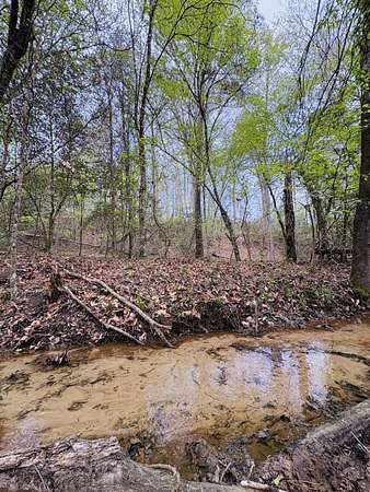 42 Acres of Recreational & Residential Land for Sale in Center, Texas