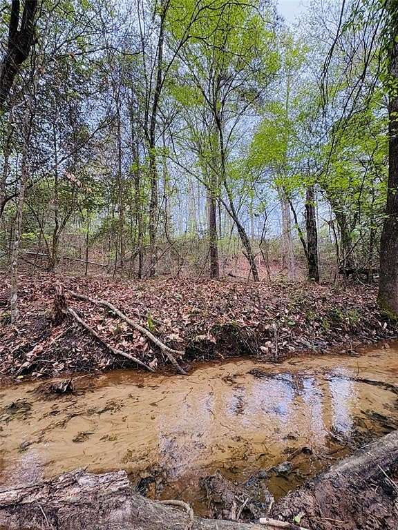 21 Acres of Recreational & Residential Land for Sale in Center, Texas