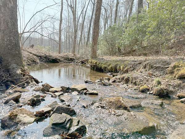 5 Acres of Residential Land for Sale in Dunlap, Tennessee