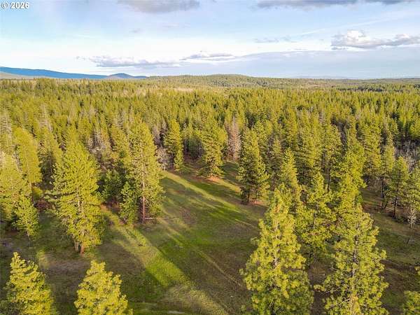 80 Acres of Recreational Land for Sale in Goldendale, Washington