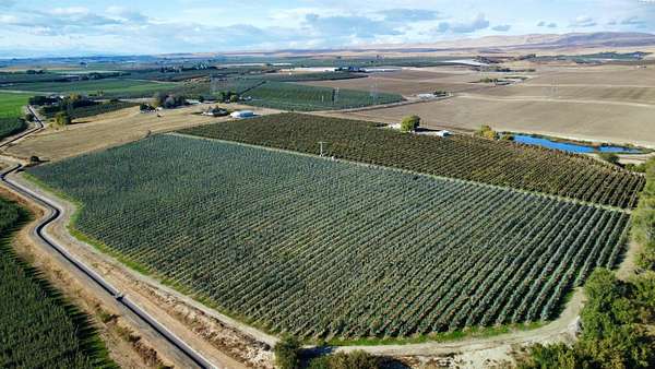 33 Acres of Agricultural & Residential Land for Sale in Sunnyside, Washington