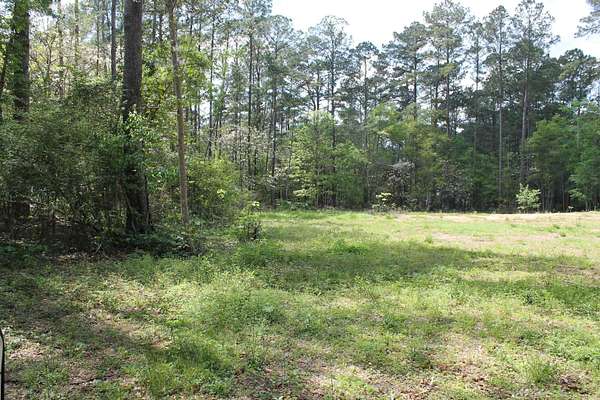 1.7 Acres of Residential Land for Sale in Tallahassee, Florida