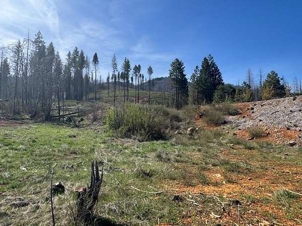 2.72 Acres of Mixed-Use Land for Sale in Greenville, California