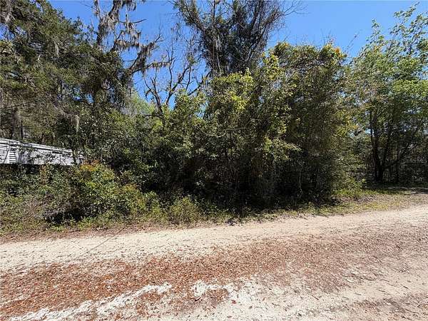 0.11 Acres of Residential Land for Sale in Newberry, Florida