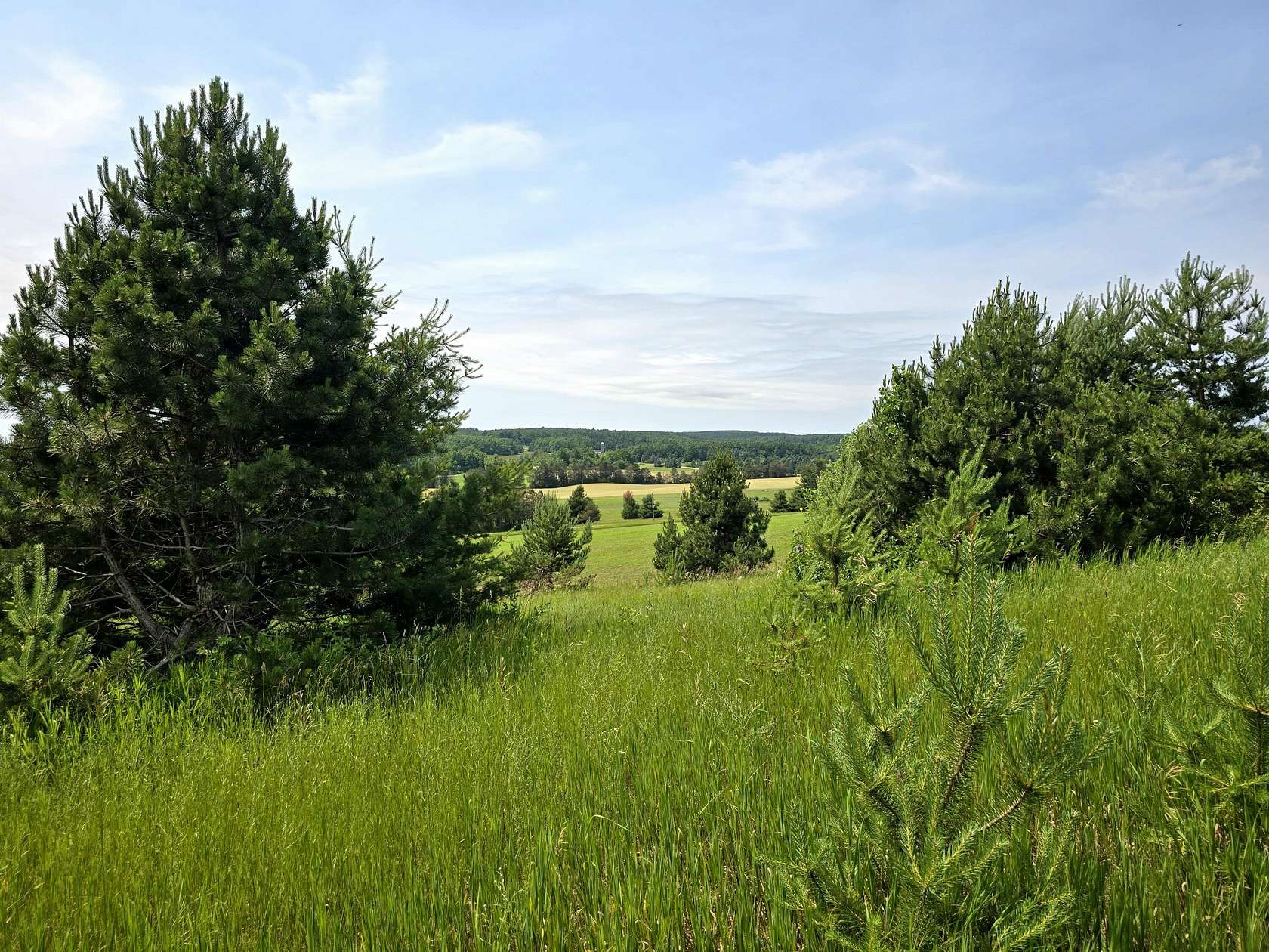 12.9 Acres of Land for Sale in Harbor Springs, Michigan