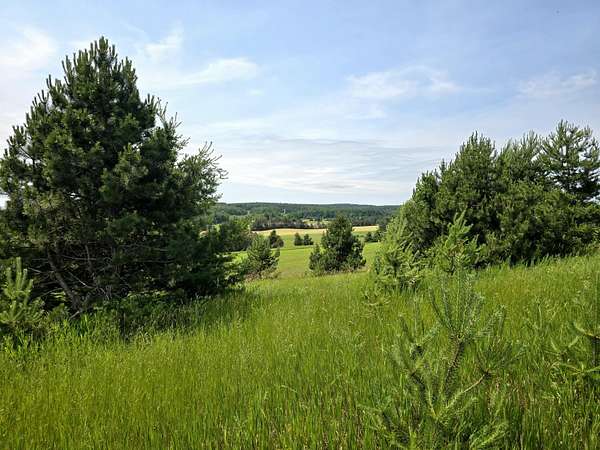 12.9 Acres of Land for Sale in Harbor Springs, Michigan