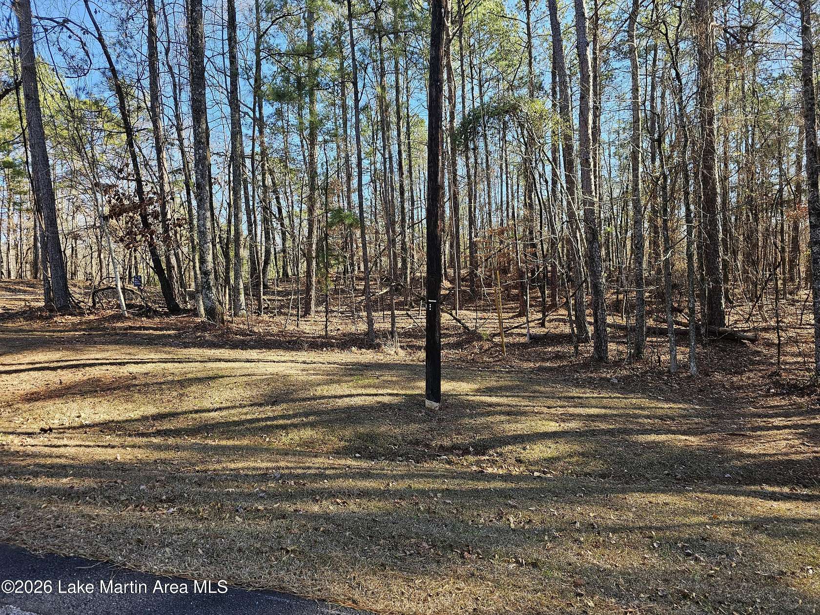 0.46 Acres of Residential Land for Sale in Dadeville, Alabama