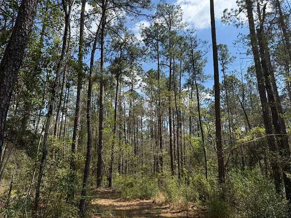 137 Acres of Land for Sale in Leakesville, Mississippi
