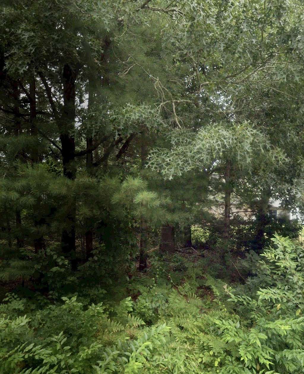 0.14 Acres of Residential Land for Sale in Wareham, Massachusetts