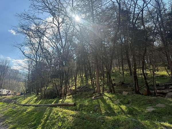 2 Acres of Residential Land for Sale in Whitleyville, Tennessee