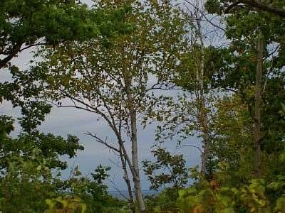 1.5 Acres of Residential Land for Sale in Sturgeon Bay, Wisconsin