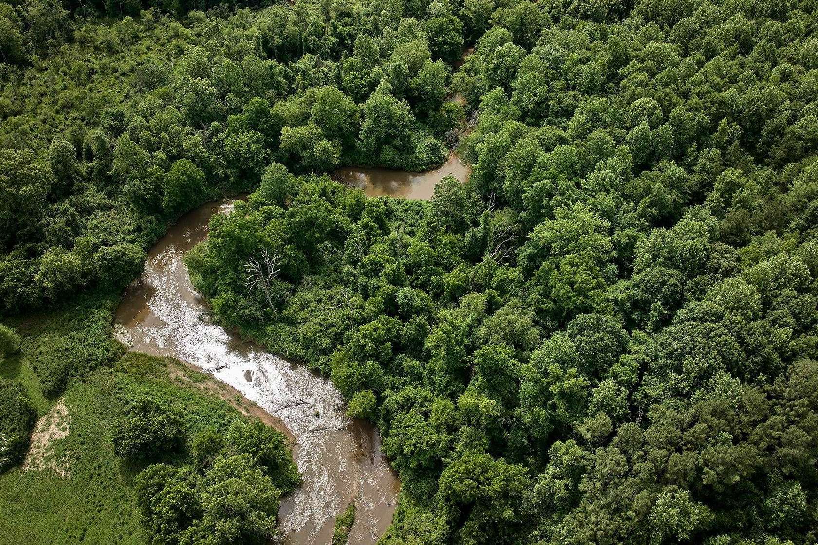 50.8 Acres of Recreational Land for Sale in Tryon, North Carolina