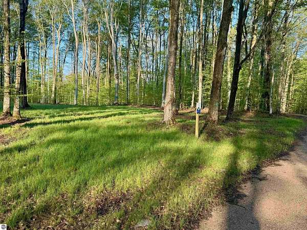 5 Acres of Land for Sale in Maple City, Michigan