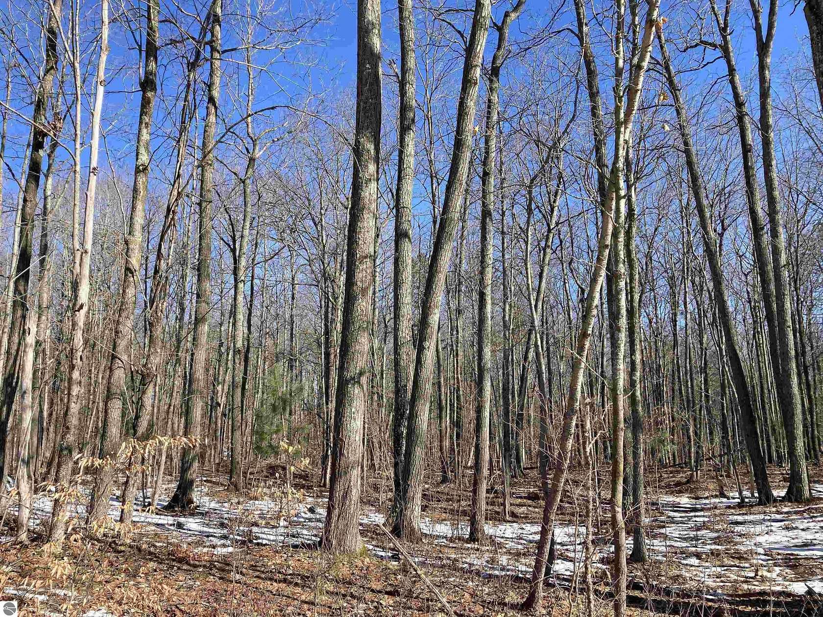 5 Acres of Land for Sale in Rose City, Michigan