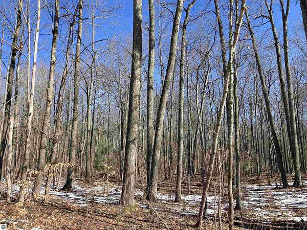 5 Acres of Land for Sale in Rose City, Michigan