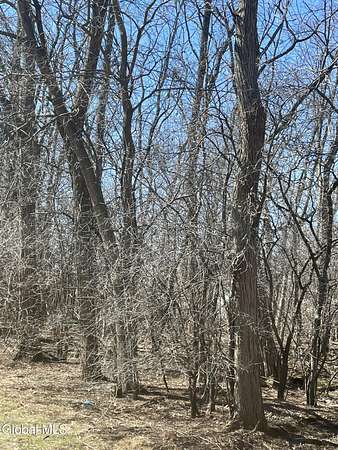 0.17 Acres of Land for Sale in Schenectady, New York