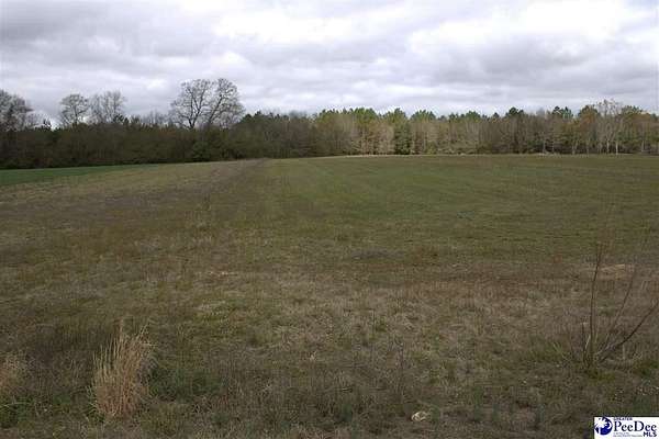 3.53 Acres of Residential Land for Sale in Hartsville, South Carolina