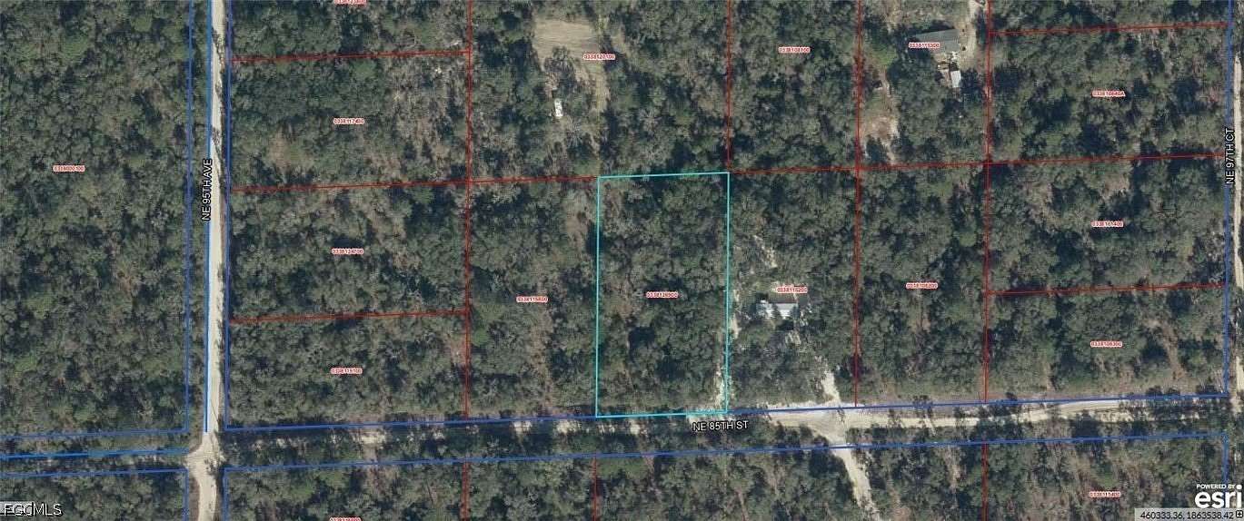 1.25 Acres of Land for Sale in Bronson, Florida