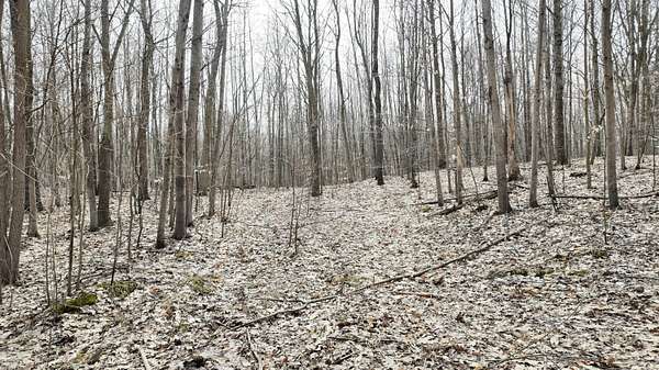 5 Acres of Residential Land for Sale in Fruitport, Michigan