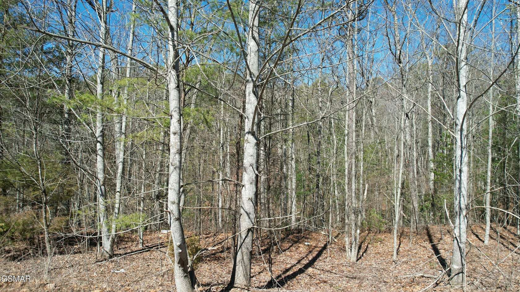 2.87 Acres of Residential Land for Sale in Walland, Tennessee