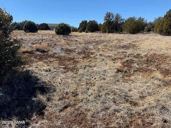 0.27 Acres of Residential Land for Sale in Show Low, Arizona