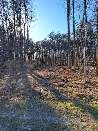 Residential Land for Sale in Dry Fork, Virginia