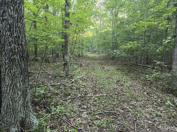 7 Acres of Land for Sale in Cadet, Missouri