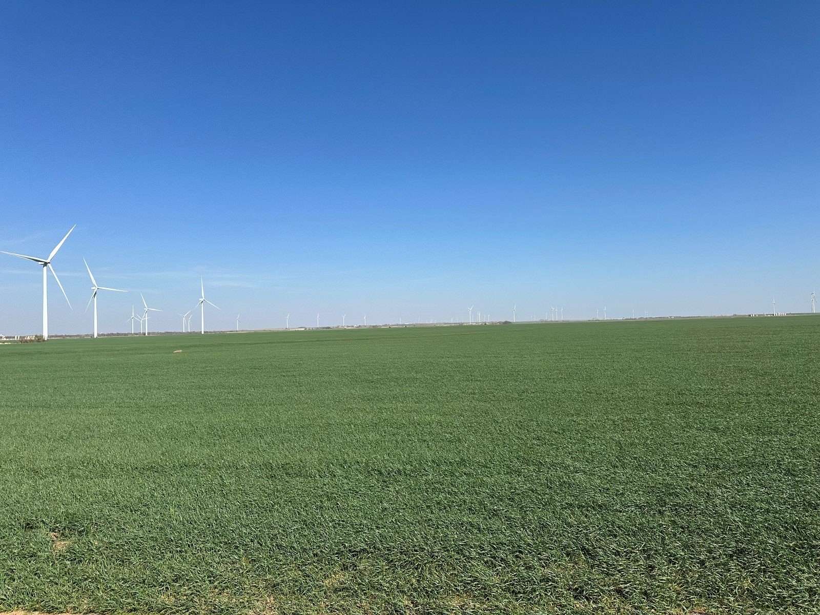 163 Acres of Agricultural Land for Sale in Hunter, Oklahoma