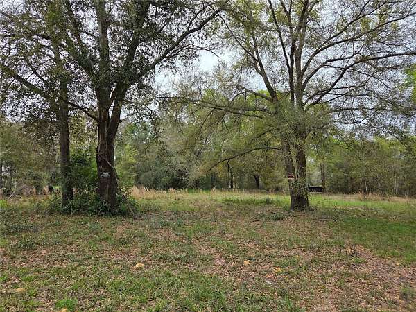 0.31 Acres of Land for Sale in Williston, Florida